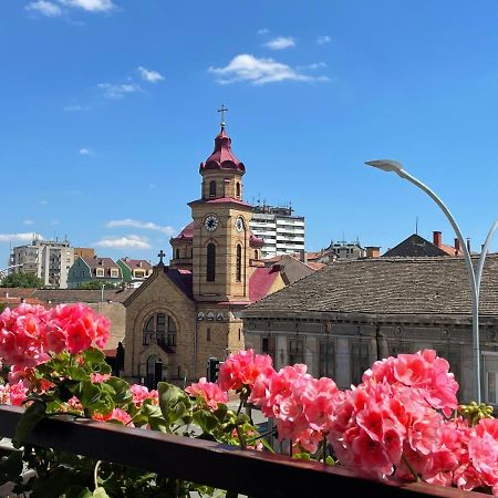 Sunny Apartment Vrsac Dış mekan fotoğraf