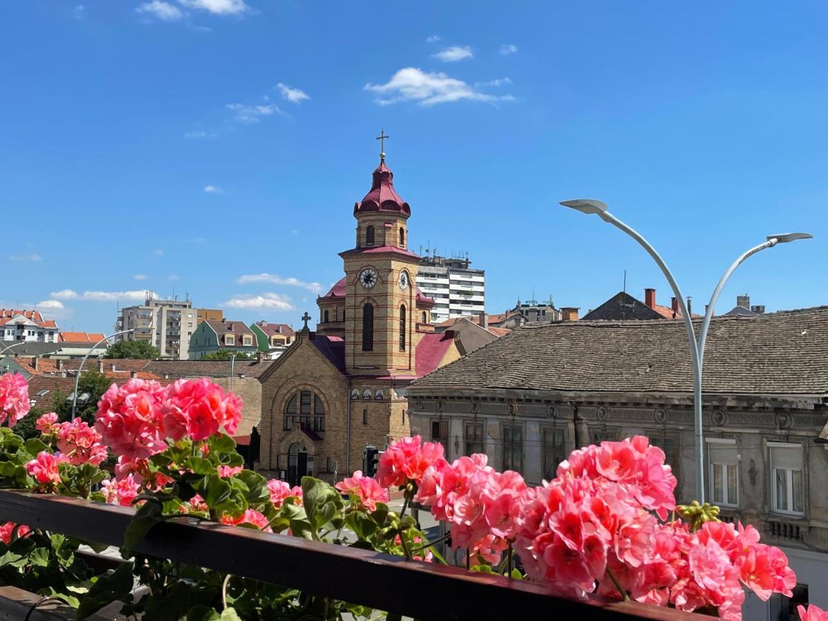 Sunny Apartment Vrsac Dış mekan fotoğraf