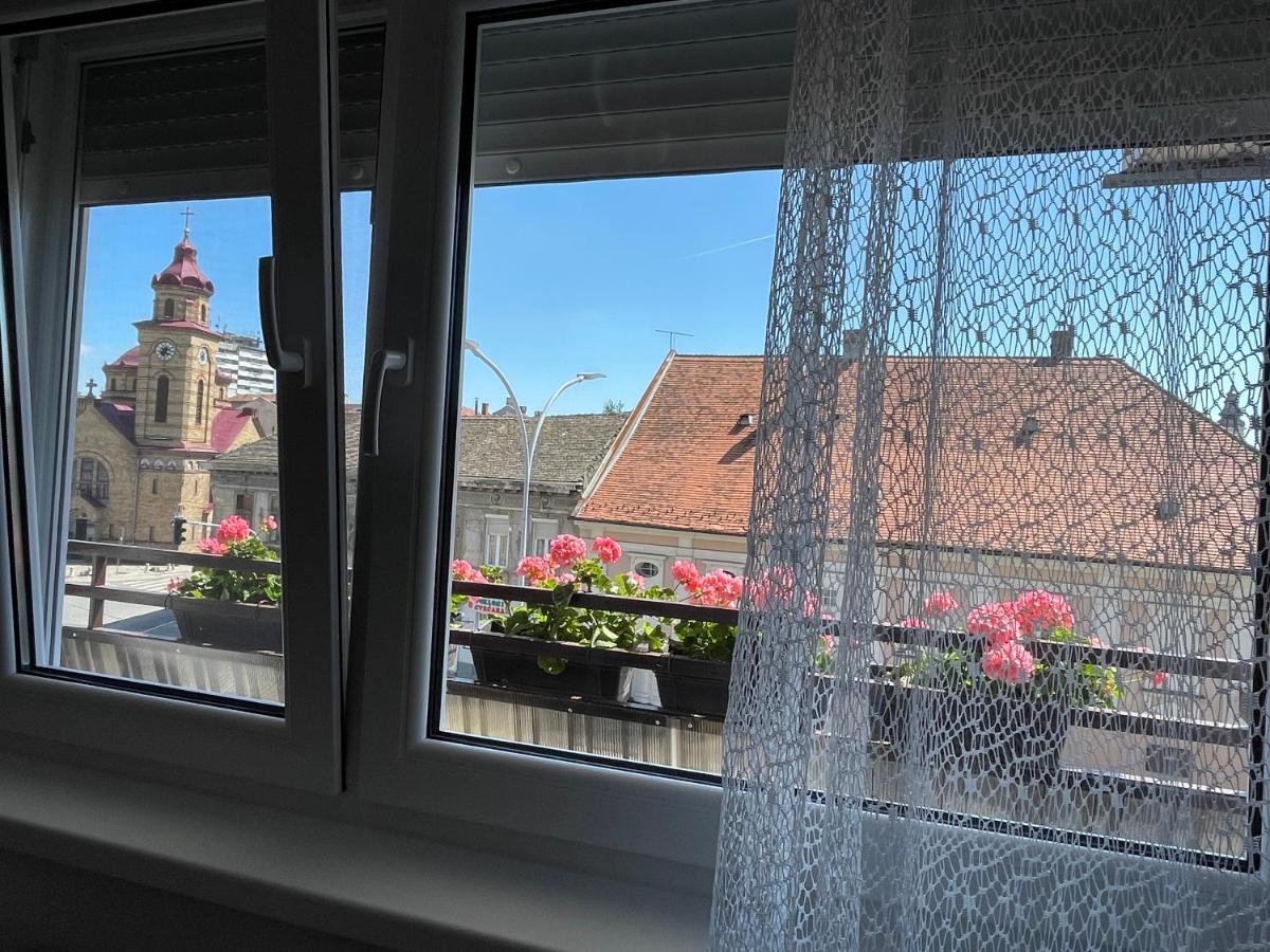 Sunny Apartment Vrsac Dış mekan fotoğraf