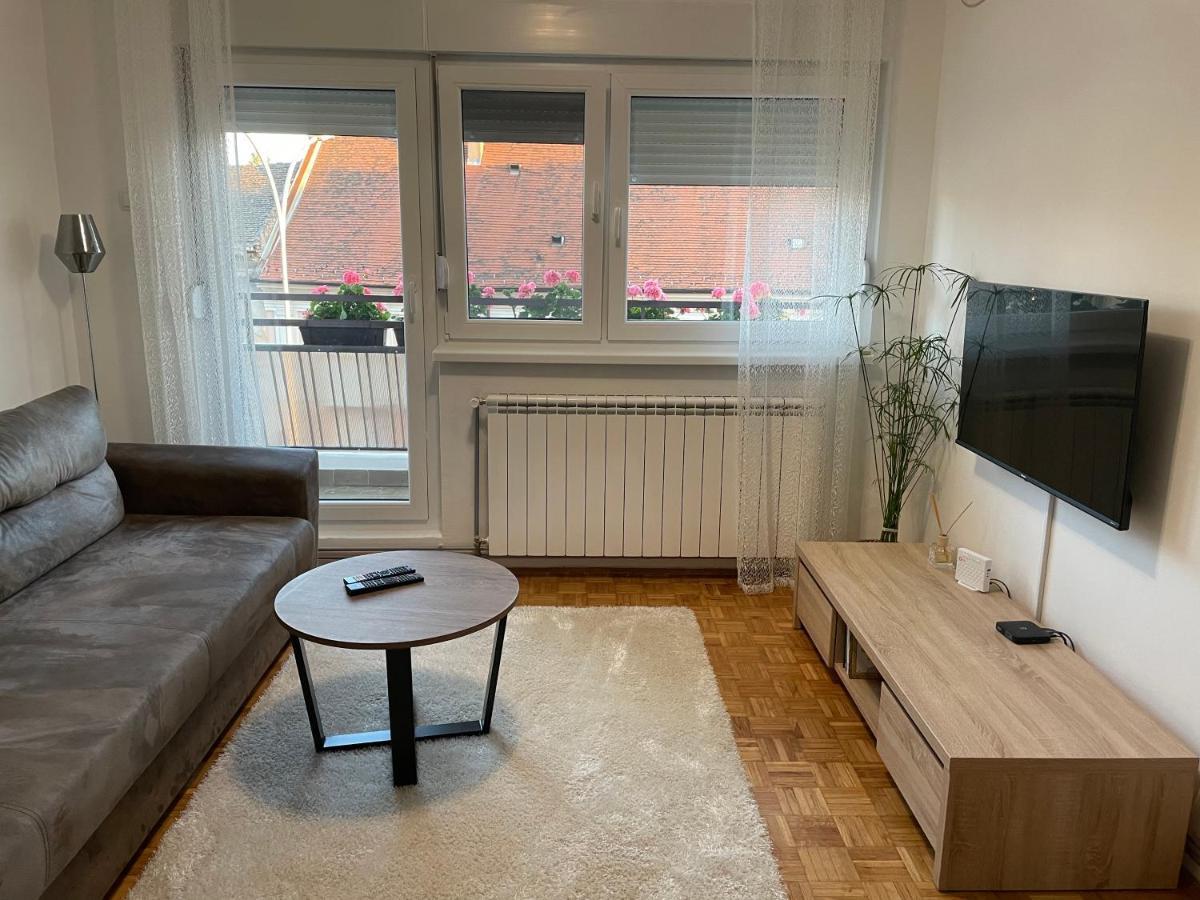 Sunny Apartment Vrsac Dış mekan fotoğraf